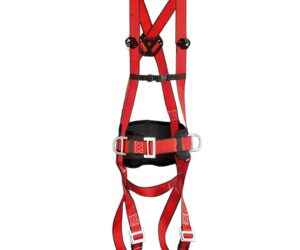 Arnès PRO BASIC Sky