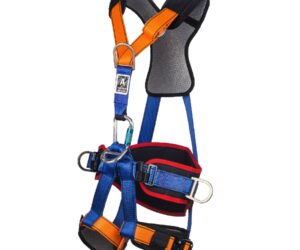 Arnès CONFORT AUTO 1