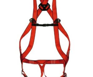 Arnés 10 Básico Plus