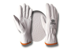 Guantes Protección Argon K (12p)