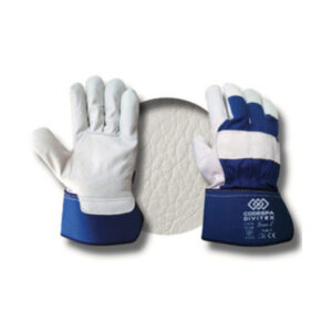 Guantes Protección Bravo E (12p)