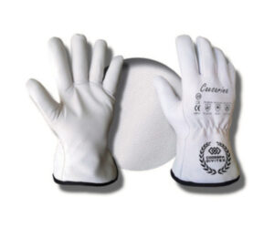 Guantes Protección Caesarina (12p)